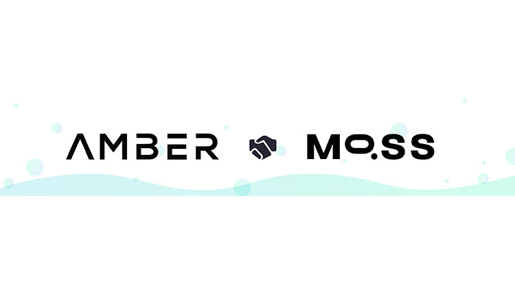 Amber X Moss